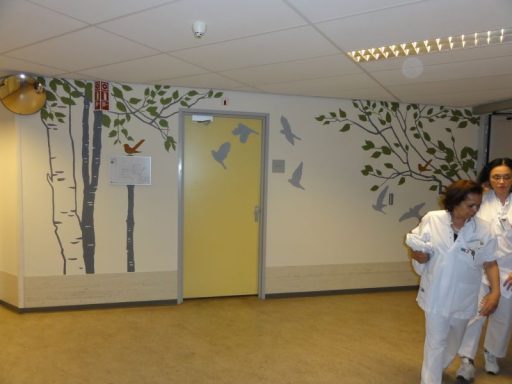 Ziekenhuizen Ziekenhuis